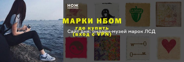 соль ск Белокуриха