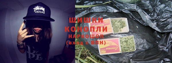 соль ск Белокуриха