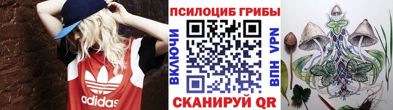купить   Кувандык  Галлюциногенные грибы мицелий 